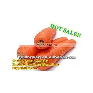 (new corp) fresh preserved carrot