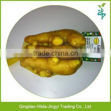 2015 new crop fresh ginger with best price