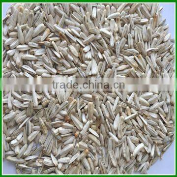 China Roasted and Salted White Sunflower Seeds for Human Eating photo-3