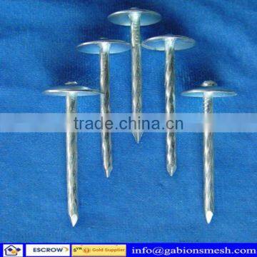 ISO9001:2008 high quality,low price,roofing nails size,professional factory