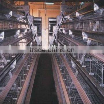 Best Selling Quail Cage For Sale in Quail Farm photo-3