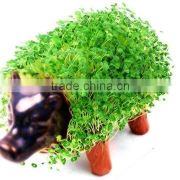 CHIA GRASS HANDMADE DECORATIVE PLANTER - Cattle