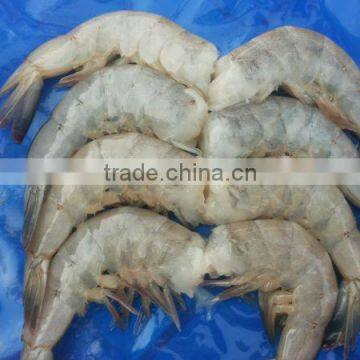 Vannamei Shrimp photo-3