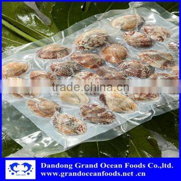 gray color frozen baby clam