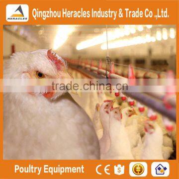 Fully Controlled Automatic Chicken Equipment for Poultry Farm House