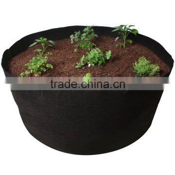 Fabric Grow Bag by Custom Automated Products photo-3