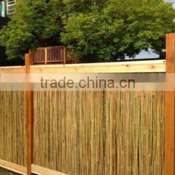 Natural Football Field Fence 3.5' 12-14mm Bamboo Cane for Several Sizes photo-2