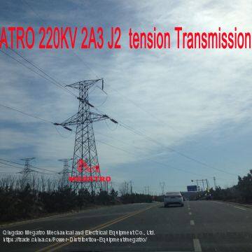 MEGATRO 110KV SGN-15-18-21 Tension Transmission Monopole photo-3