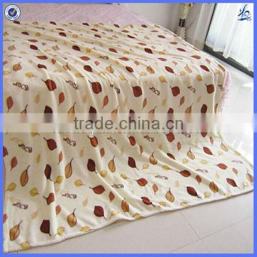 printed coral fleece blanket/cartoon printing blanket