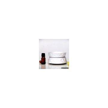 Electric Oil Burner