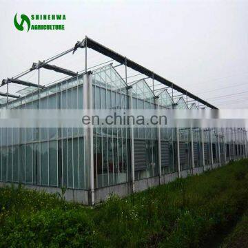 Commercial Agricultural Glass Greenhouse For Planting Tomato