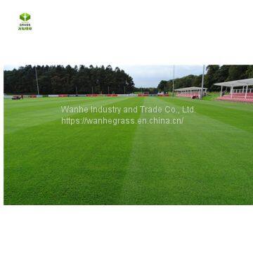 High quality Manufacture price Garden flooring anti UV and durable artificial grass mat for garden 30mm