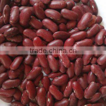 Red Kidney Beans photo-2