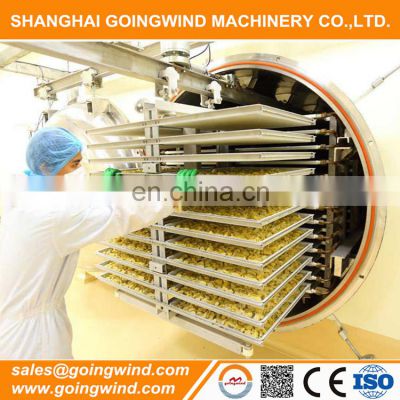 Automatic china vacuum freeze drying machine auto foods fruits and vegetables freeze-dryer machinery cheap price for sale