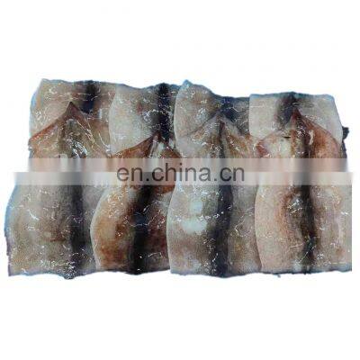 BQF Frozen Cleaned Squid Fillet Block Good Price