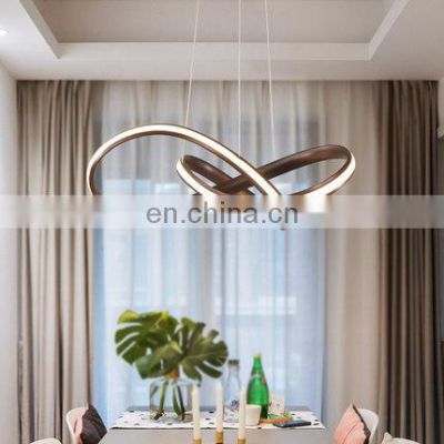 Hot Sale LED Indoor Chandelier Lamp for Hotel Living Room European Modern Linear Ring Pendant Light