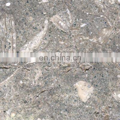 Premium Rustic Green Seagrass Limestone Slab Polished or Honed Finishing Made in Turkey Factory CEM-SLB-104 photo-4