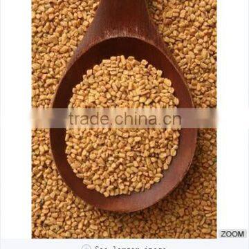 Indian Fenugreek Seeds photo-2