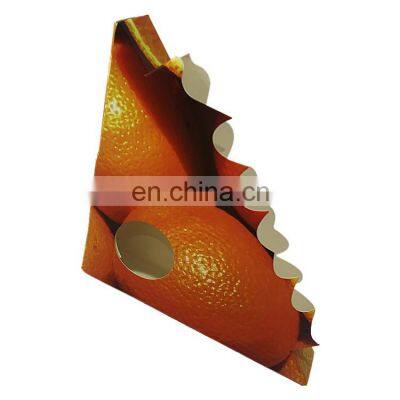 Clear Window Fly Trap Fly Bug Gnats Catcher photo-5