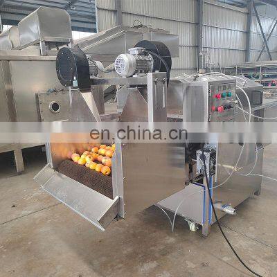 BEST Price For Sale Ce Certificated Fruit Peeling Cutting Slicing Making Machine Production Line photo-3