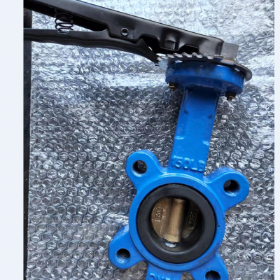 Jintaike Advantageously Supplies Marine Aluminum Bronze Plate Butterfly Valves 5k/gb Standard, Compatible With Screw-type Switch Heads