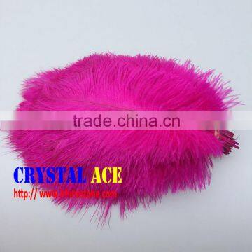 Wholesale Rose/Purple Ostrich Feather 6-30 inch (15-75 cm) for party decoration