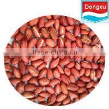 red skin peanuts/ peanut kernels