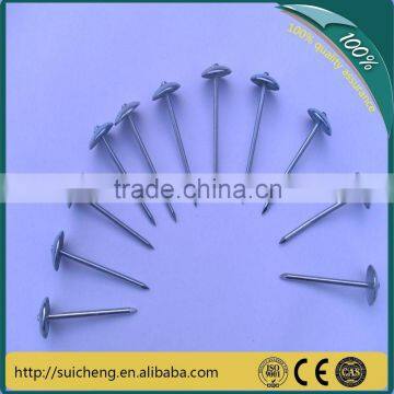 Guangzhou common round iron nails/common round iron wire nails/roofing nails