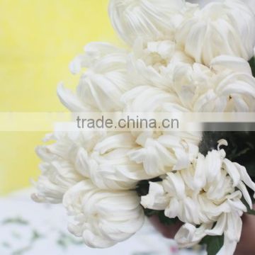 Wide varieties top sell real touch flowers single stem chrysanthemum