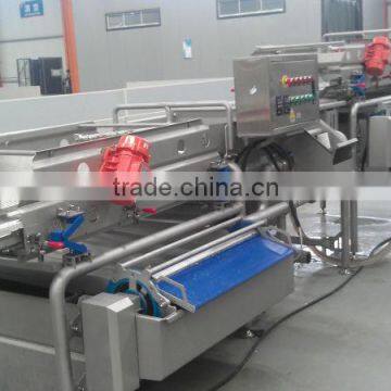 IQF/Fresh vegetable processing production line/automatic vegetable washing line