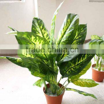 Artificial Dieffenbachia +
