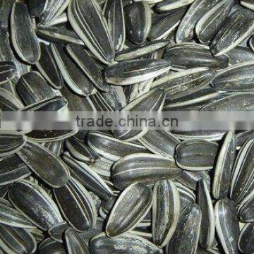 Sunflower Seeds