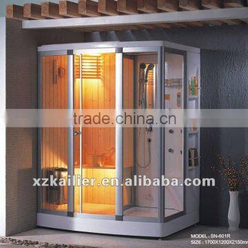Hot Dry Wet Sauna Room