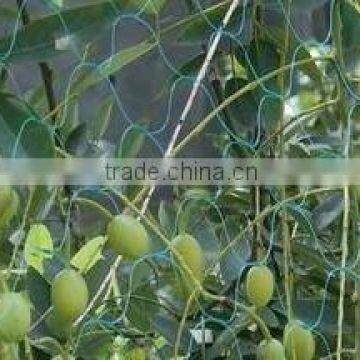 Fruit Tree Net