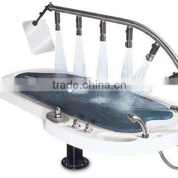 Guang zhou Latest shower beauty spa capsule