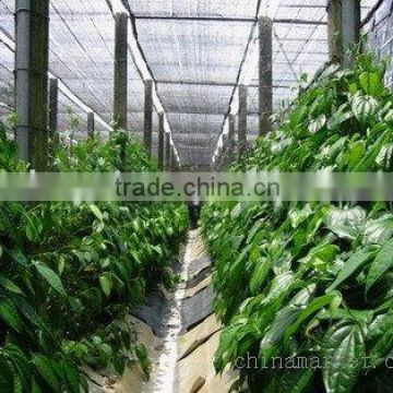 High quality HDPE shade netting