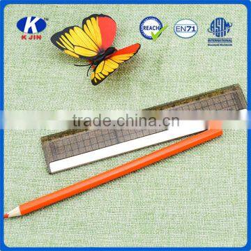 China Manufacturer Promotional 15cm Grey Transparent Lens PS Ruler With Cheap Price photo-2