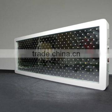 800W Led Plant Grow Lighting Indoor Led Light EG800