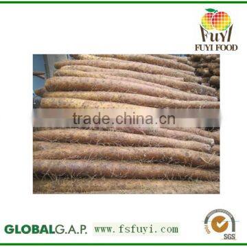 Wild Yam Diosgenin