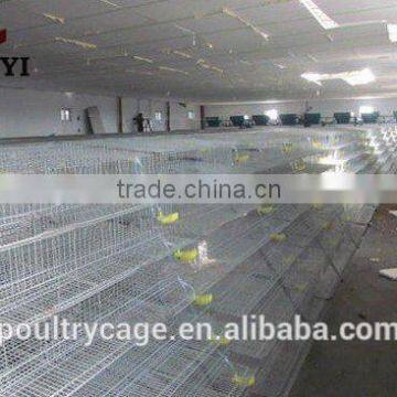 Metal Wire Mesh Layer Quail Broiler Cage For Sale( Now or Never ) photo-6