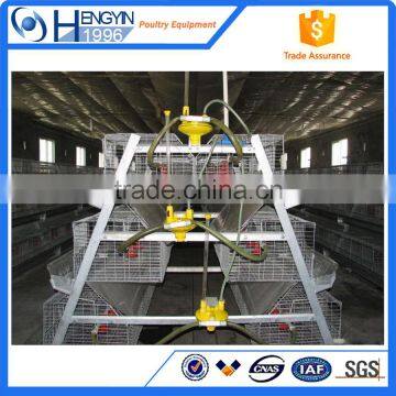 Automatic Chicken Layer Cage in Kenya photo-2