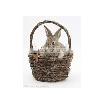 Popular natural material new design willow pet basket with handle