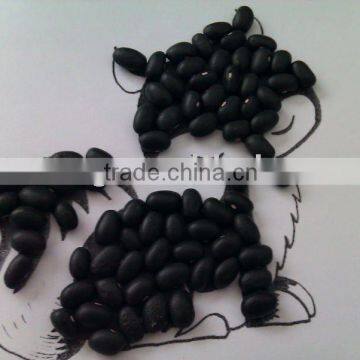 Chinese Black Kidney Bean( 2011 crop, hps, heilongjiang origin)