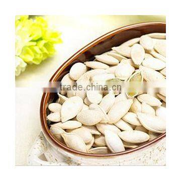 Snow White Pumpkin Seeds , Pumpkin Seeds in Shell photo-2