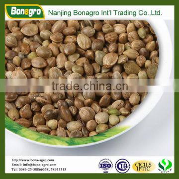 chinese 2014 crop Hemp seeds