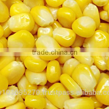 Frozen Yellow Maize