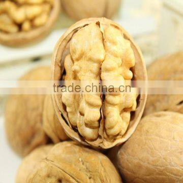 hot sale walnut / dried walnut with top quality best price