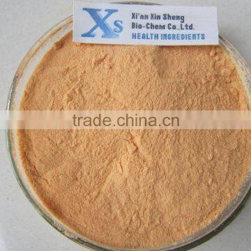 GMP Natural High Quality Epimedium Extract Powder/Icariin