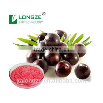 antioxidant,anti-radicalization and anti-aging Brazilian Acai berry Powder Extract with Anthocynidins 10%