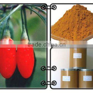 wolfberry plant extract